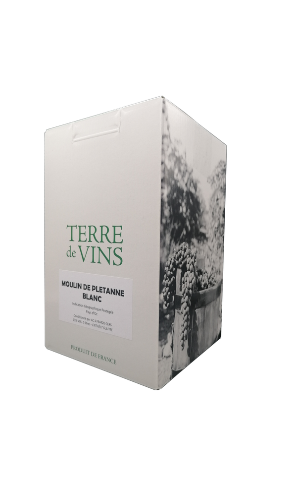 Alma Cersius Blanc »Moulin de Plétanne« 2024