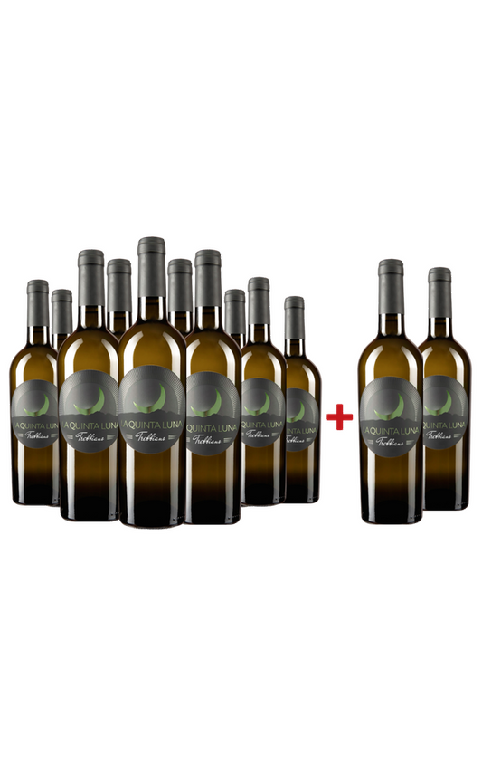 Sparpaket 10+2 »La Quinta Luna« Trebbiano 2024