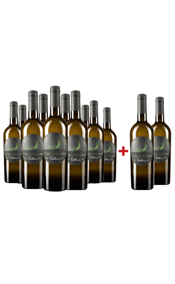 Sparpaket 10+2 »La Quinta Luna« Trebbiano 2024