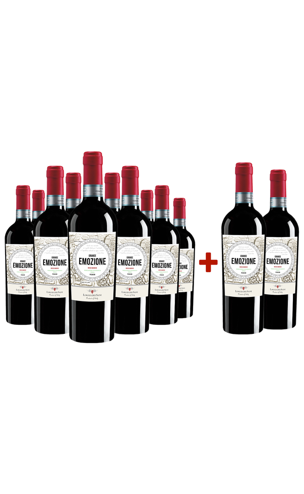 Sparpaket 10+2 »Grande Emozione« 2024