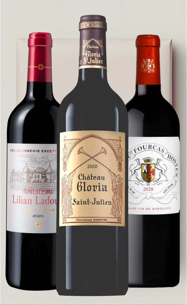 Geschenkset »Best of Bordeaux 2020«