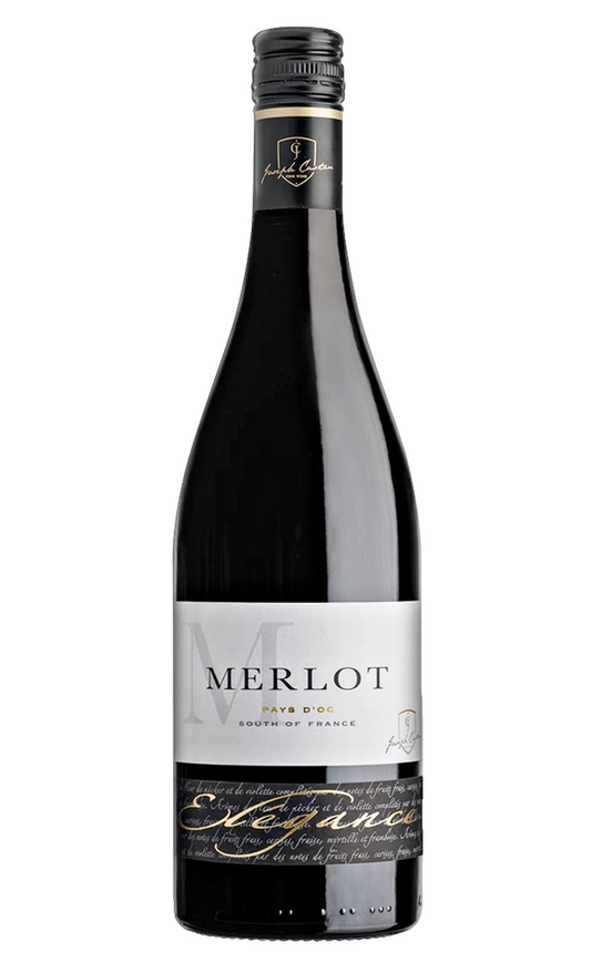 Castan Merlot »Elegance« 2025