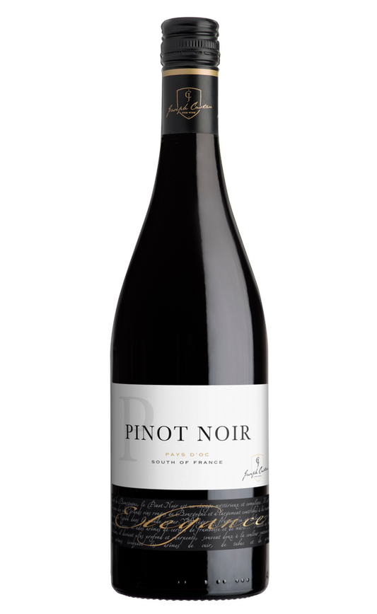 Castan Pinot Noir »Elegance« 2024