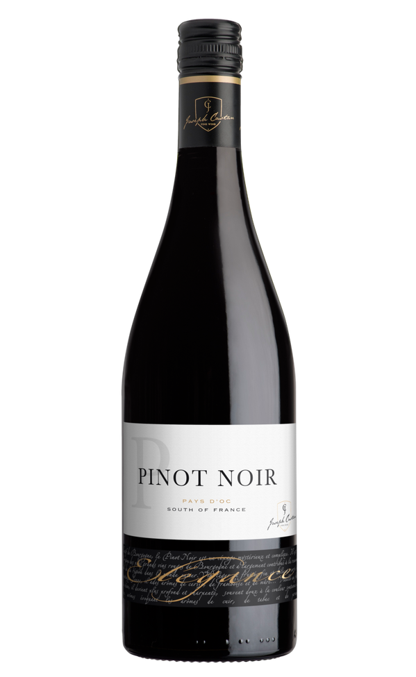 Castan Pinot Noir »Elegance« 2024