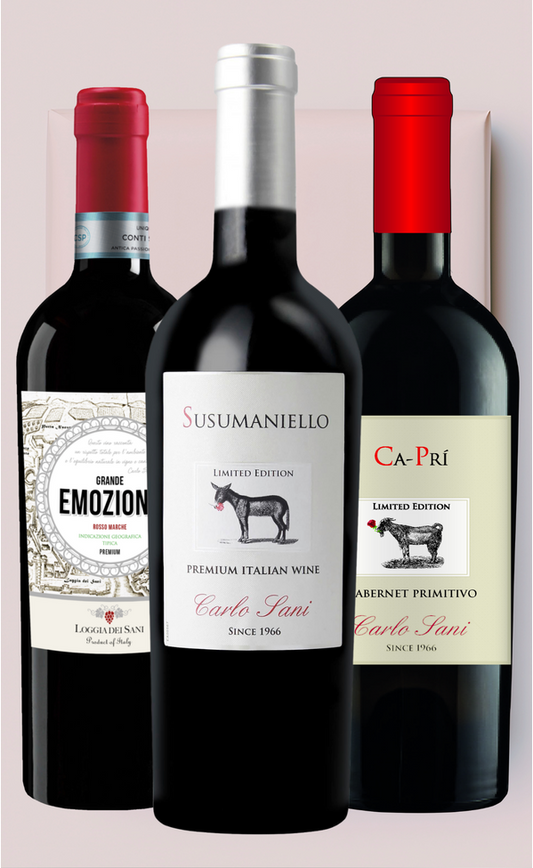 Geschenkset »Italienisches Weinwunder 1.0«