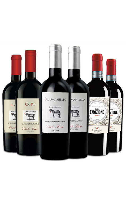 Probierpaket »Italienisches Weinwunder«
