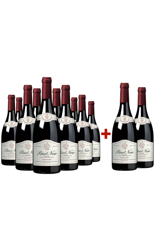 Sparpaket 10+2 Pinot Noir »Les Esperons« 2021