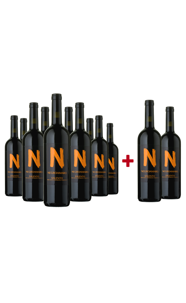 Sparpaket 10+2 Negroamaro »N« 2024