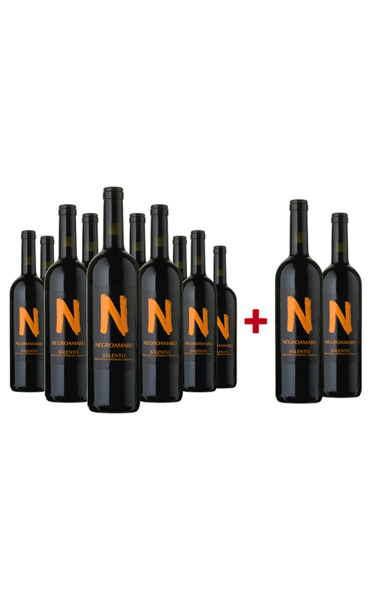Sparpaket 10+2 Negroamaro »N« 2024